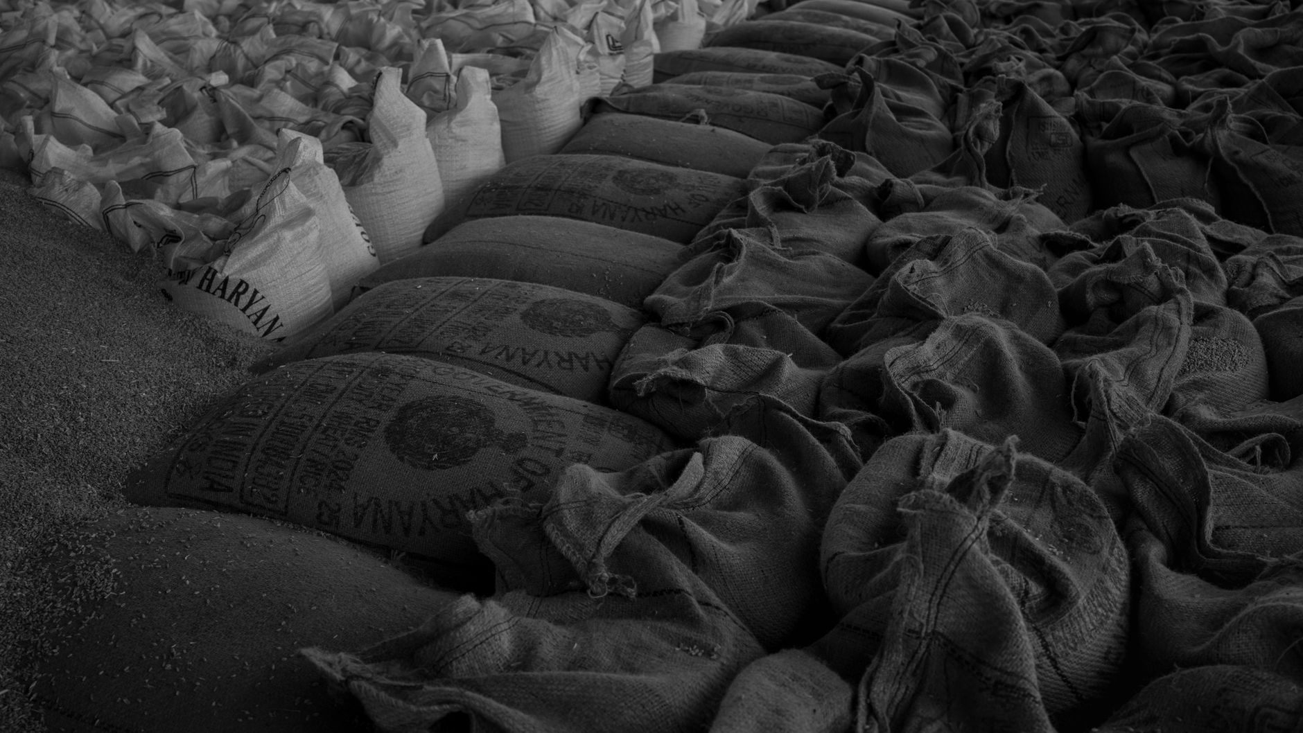 Haryana Ration Depot Recruitment